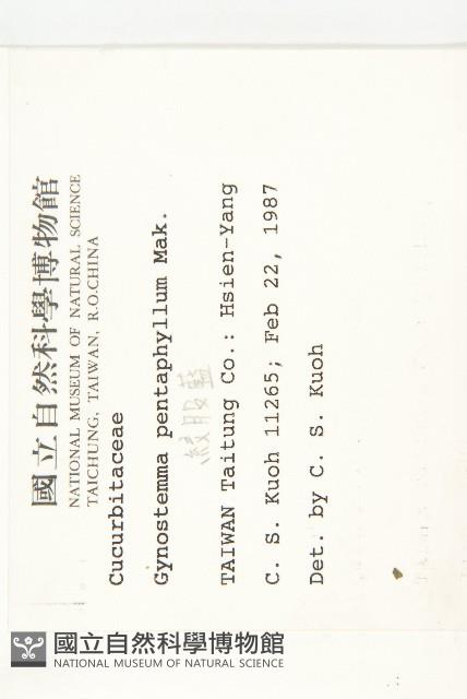 絞股藍藏品圖，第2張