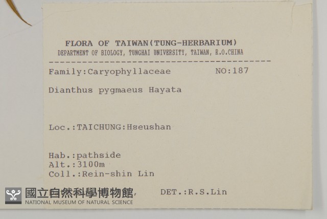 玉山石竹藏品圖，第2張