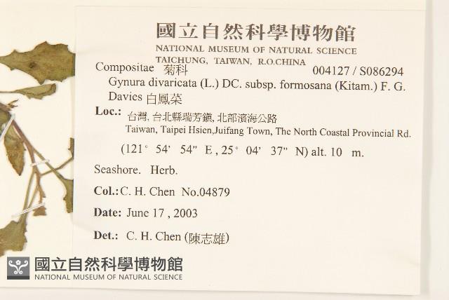 白鳳菜藏品圖，第2張
