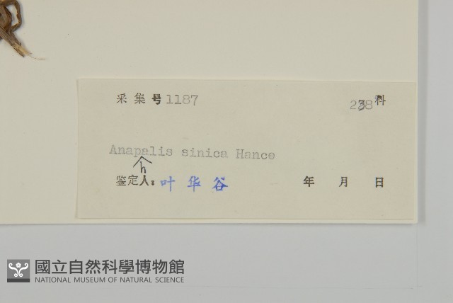 香青藏品圖，第3張
