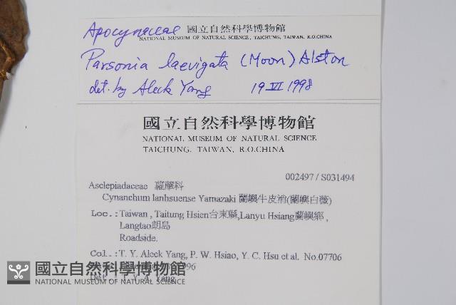 爬森藤藏品圖，第2張