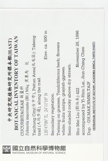 黑果馬交兒藏品圖，第2張