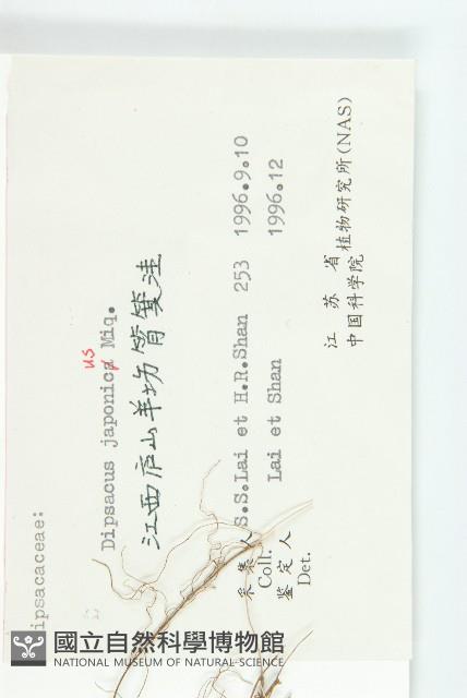 續斷藏品圖，第3張