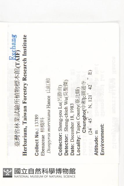 山紅柿藏品圖，第2張