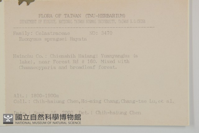 刺果衛矛藏品圖，第2張