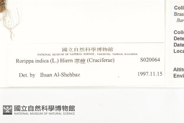 地錦藏品圖，第3張