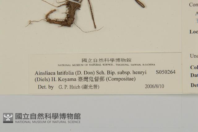 Accession Number:S050264 Collection Image, Figure 3, Total 3 Figures