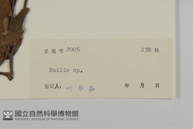 登錄號:S042464藏品圖，第3張