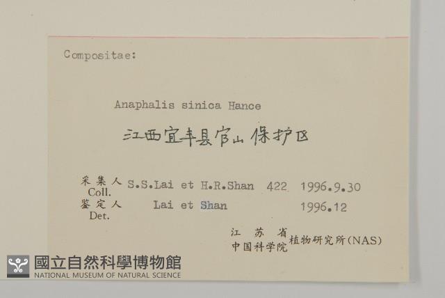 香青藏品圖，第3張