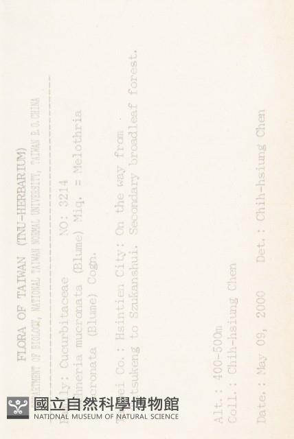 黑果馬交兒藏品圖，第2張