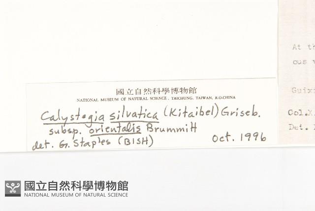 登錄號:S020864藏品圖，第3張