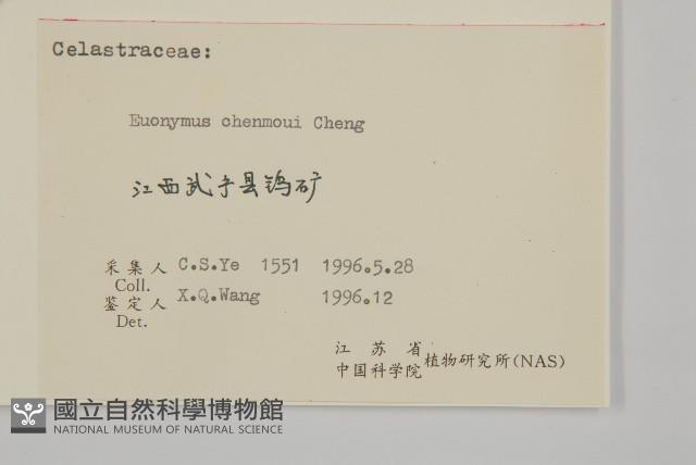 陳謀衛矛藏品圖，第3張