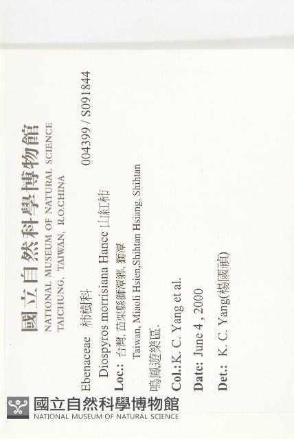 山紅柿藏品圖，第2張