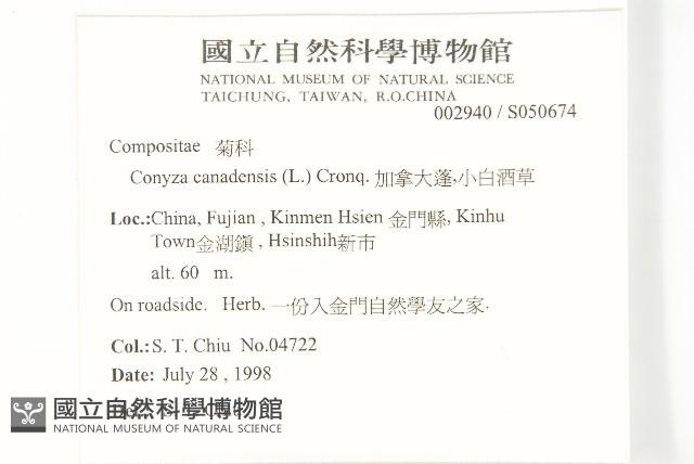 加拿大蓬藏品圖，第2張