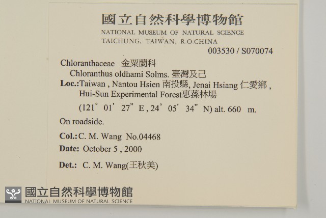 臺灣及己藏品圖，第2張