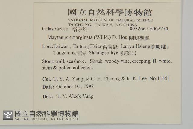 蘭嶼裸實藏品圖，第2張