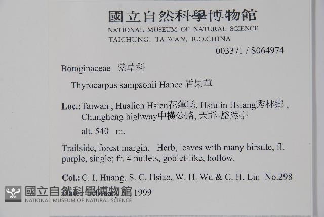 盾果草藏品圖，第2張