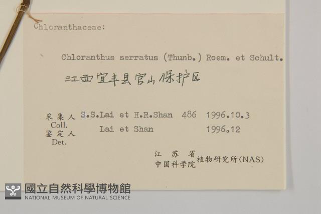 及己藏品圖，第3張