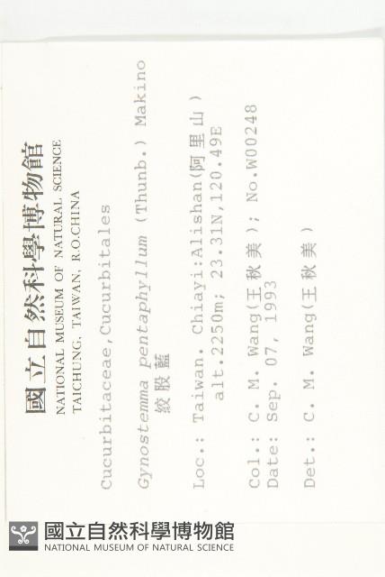 絞股藍藏品圖，第2張