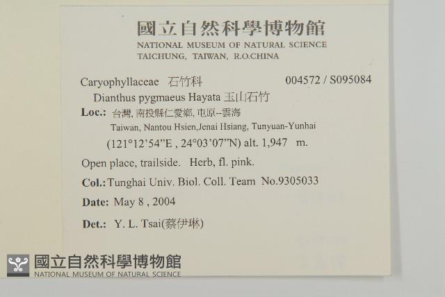 玉山石竹藏品圖，第2張