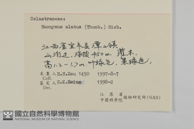 衛矛藏品圖，第3張