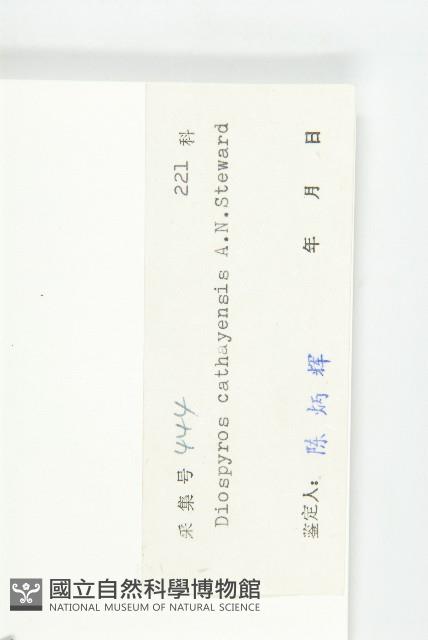 Accession Number:S030284 Collection Image, Figure 3, Total 3 Figures