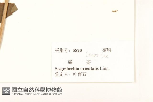 豨簽藏品圖，第3張