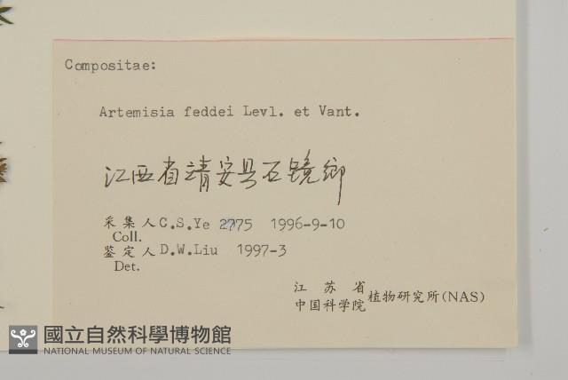 小艾藏品圖，第3張