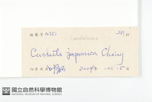 日本菟絲子藏品圖，第3張