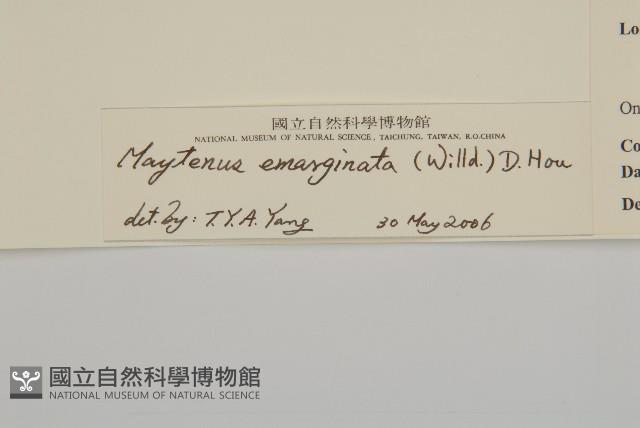 蘭嶼裸實藏品圖，第3張