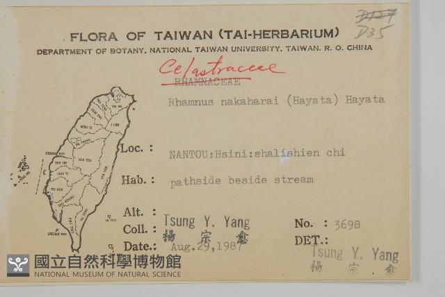 佩羅特木藏品圖，第2張