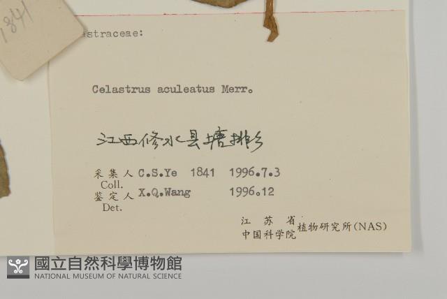 過山楓藏品圖，第3張