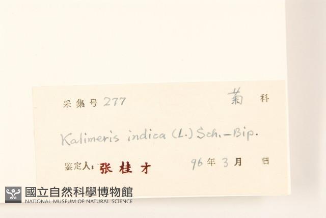 雞兒腸藏品圖，第3張