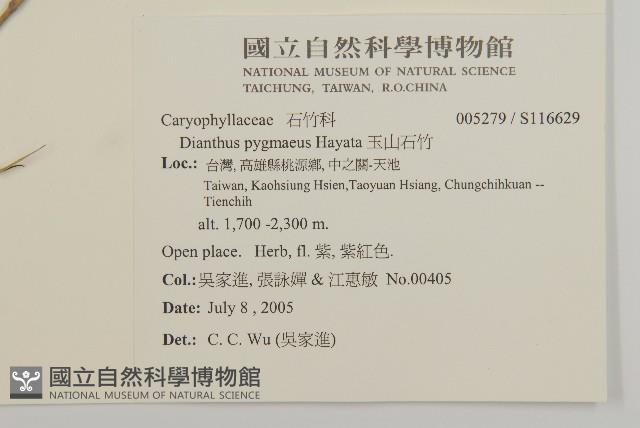 玉山石竹藏品圖，第2張