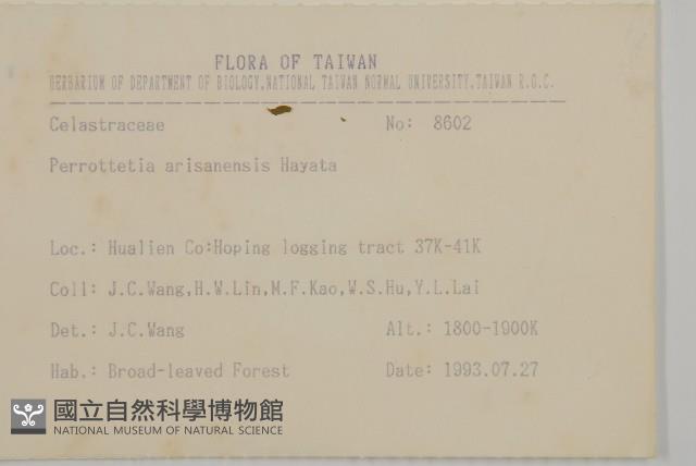 佩羅特木藏品圖，第2張