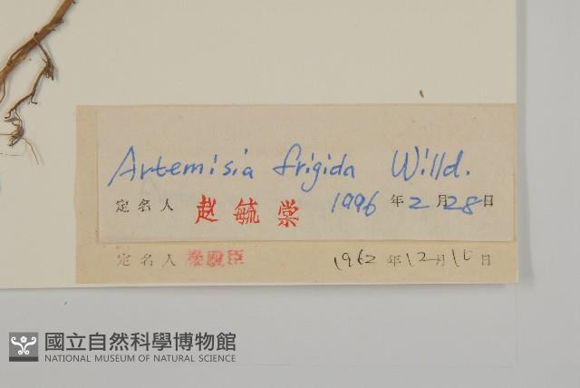 冷蒿藏品圖，第3張