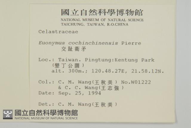 交趾衛矛藏品圖，第2張