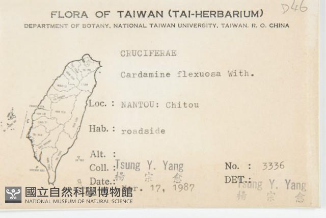 Small-leaved bittercress Collection Image, Figure 2, Total 2 Figures