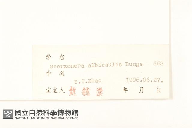 芼管草藏品圖，第3張