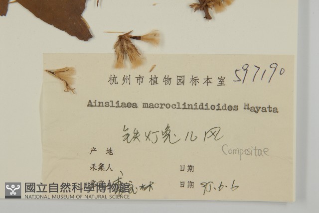阿里山鬼督郵藏品圖，第3張