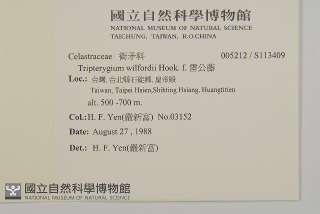 雷公藤藏品圖，第2張