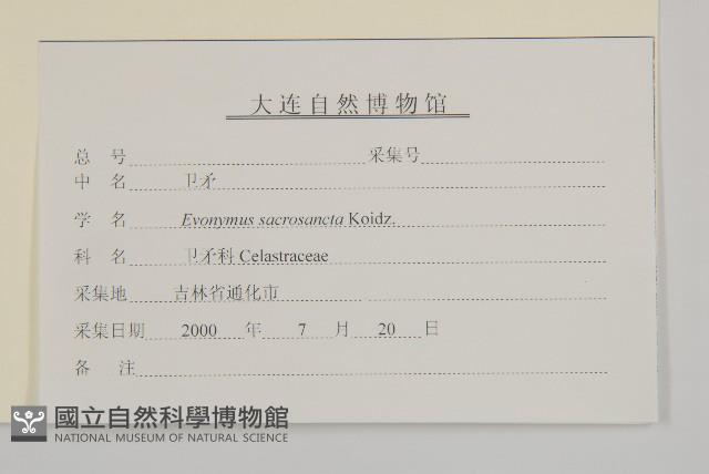 衛矛藏品圖，第3張