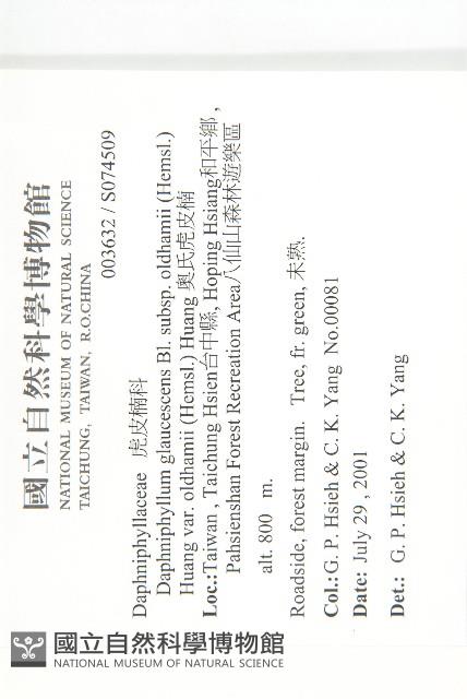 奧氏虎皮楠藏品圖，第2張