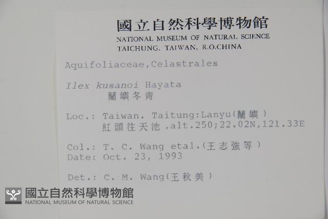 草野氏冬青藏品圖，第2張