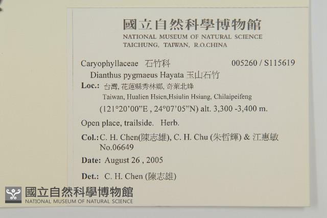 Accession Number:S115619 Collection Image, Figure 2, Total 2 Figures