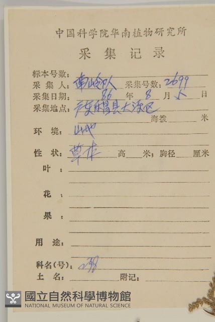 艾、五月艾藏品圖，第2張