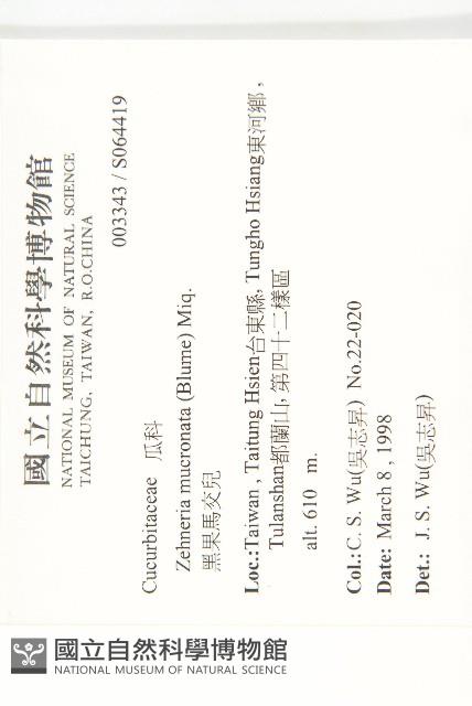 黑果馬交兒藏品圖，第2張