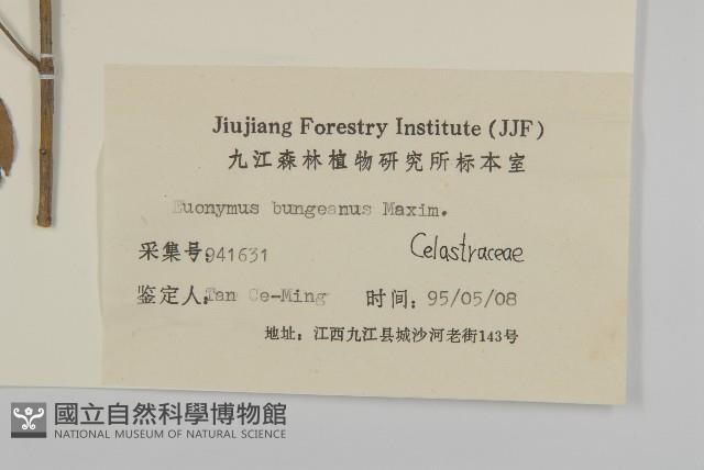 白杜藏品圖，第3張