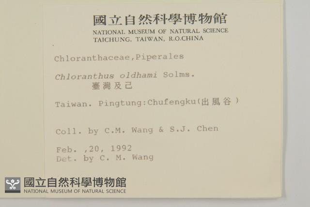 臺灣及己藏品圖，第2張