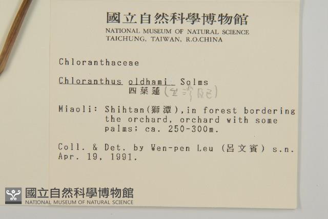 臺灣及己藏品圖，第2張